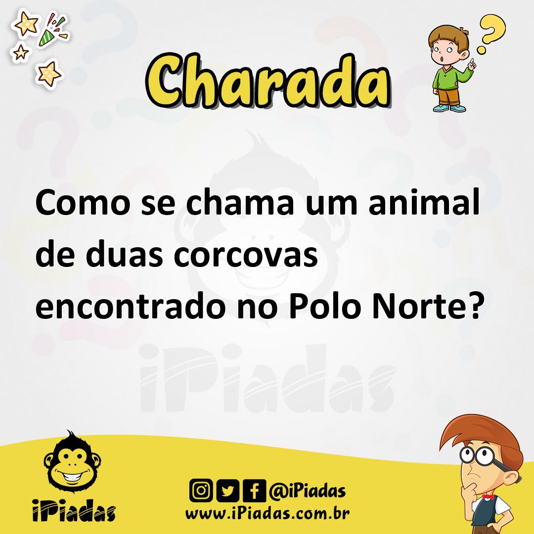 Ilustração de Como se chama um animal de duas corcovas encontrado no Polo Norte? no iPiadas