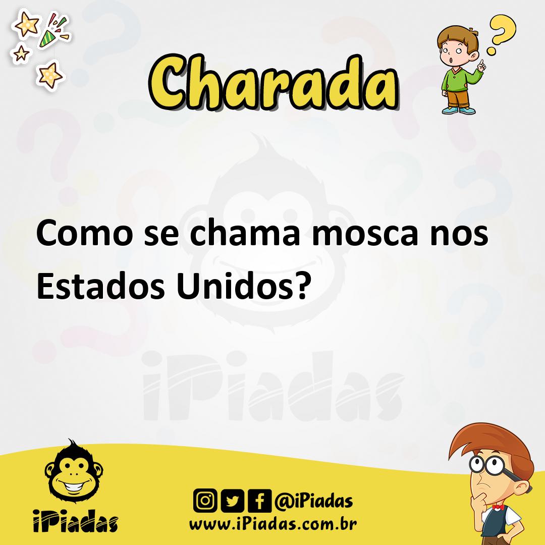 Ilustração de Como se chama mosca nos Estados Unidos? no iPiadas