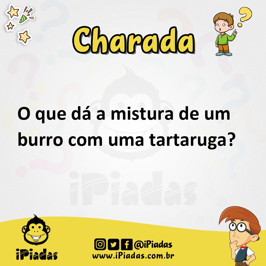 Ilustração de O que dá a mistura de um burro com uma tartaruga? no iPiadas