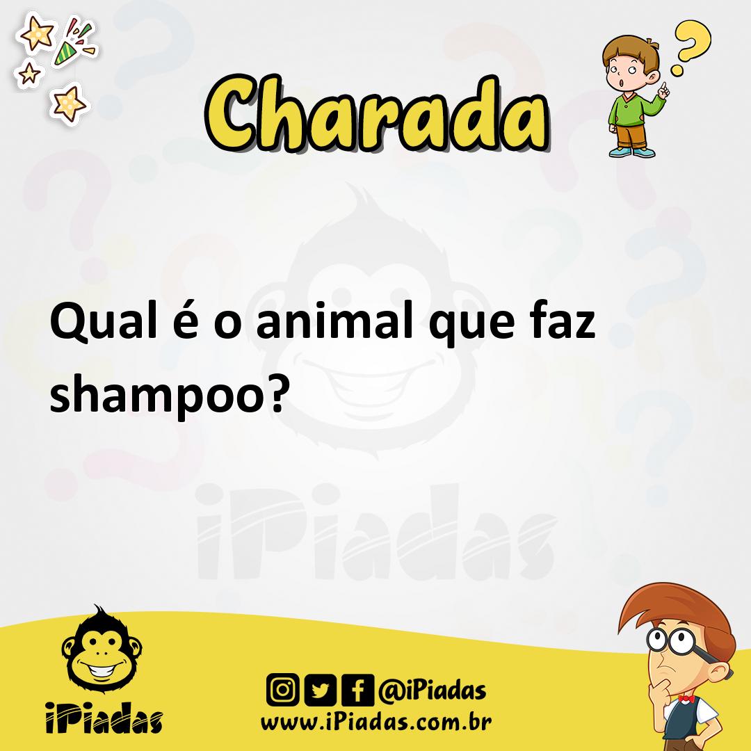 Qual é o animal que faz shampoo? - Charada e Resposta - Geniol