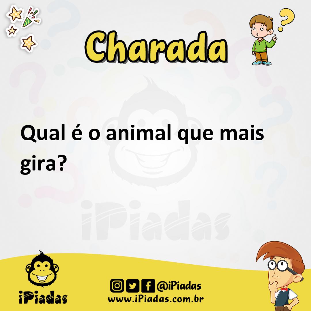 Ilustração de Qual é o animal que mais gira? no iPiadas