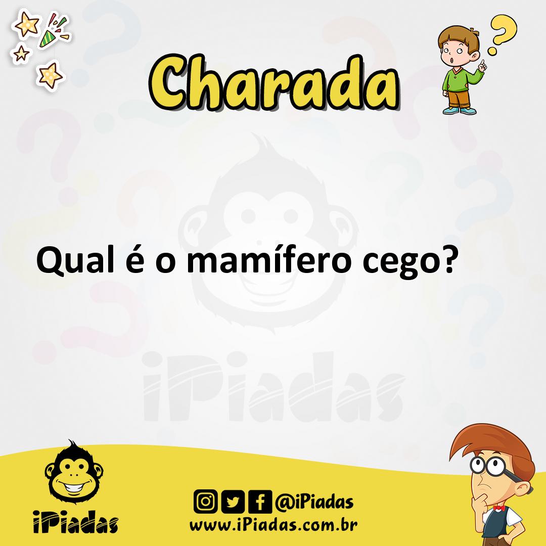 Qual é o mamífero cego? - Charada e Resposta - Racha Cuca