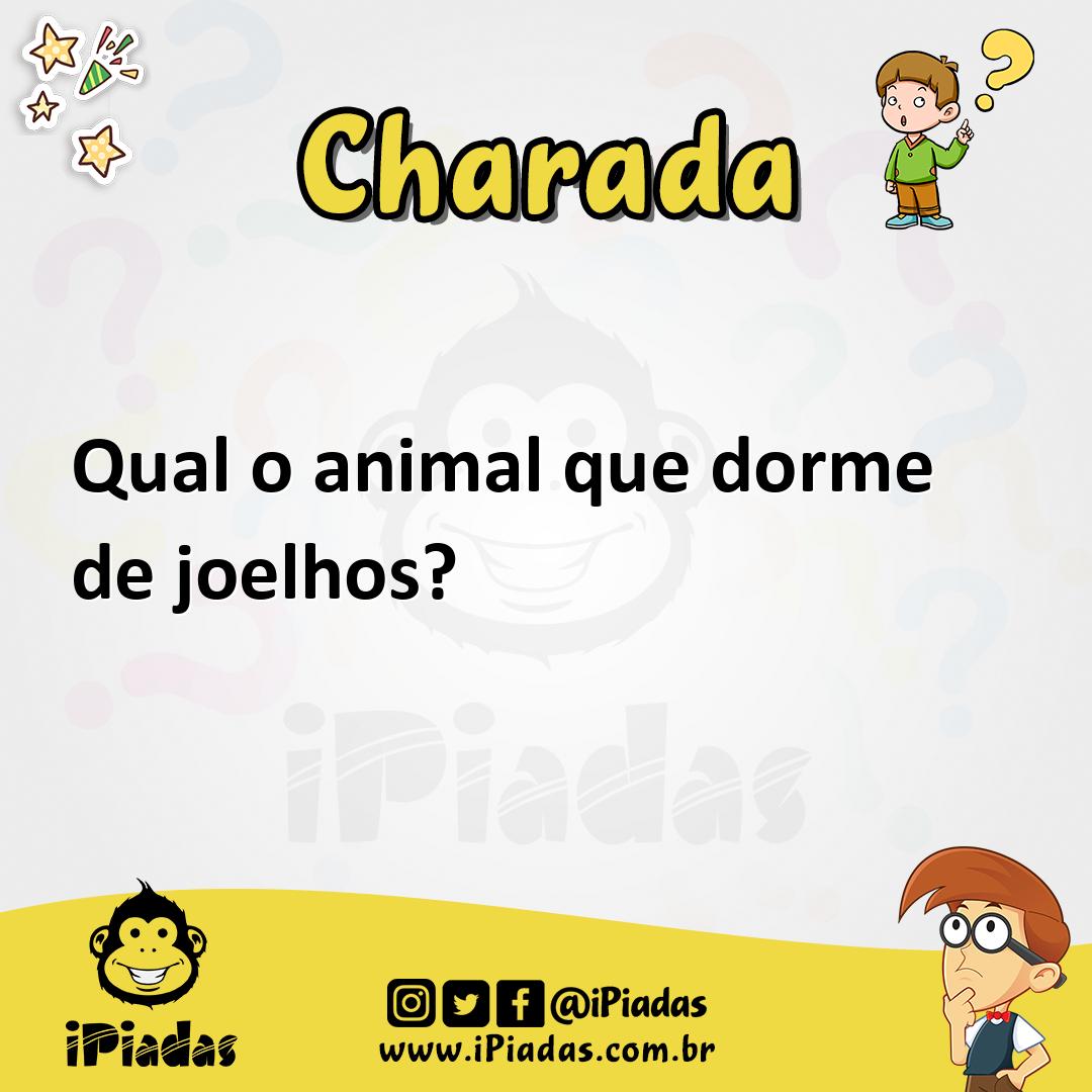 Ilustração de Qual o animal que dorme de joelhos? no iPiadas