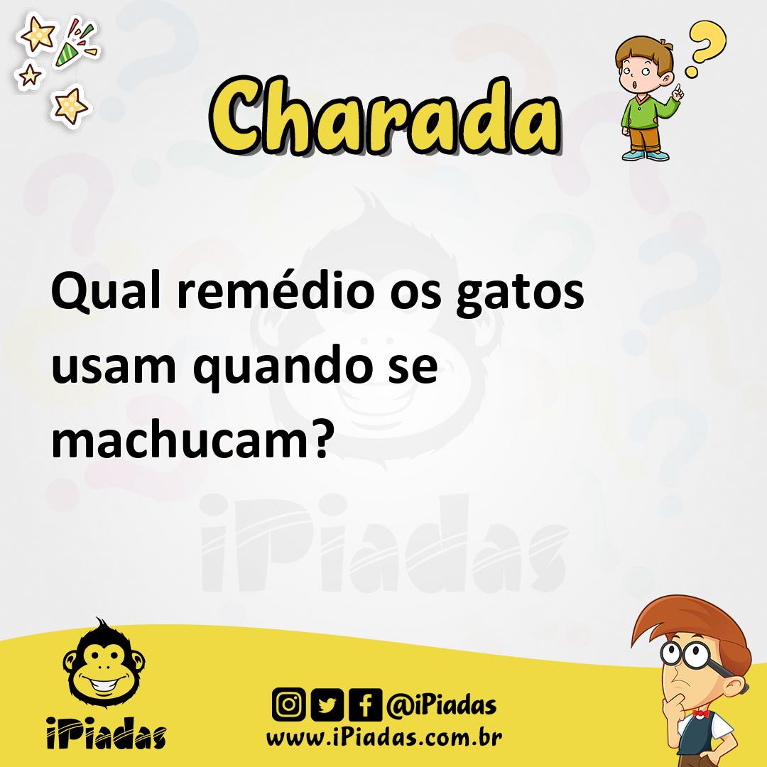 Ilustração de Qual remédio os gatos usam quando se machucam? no iPiadas