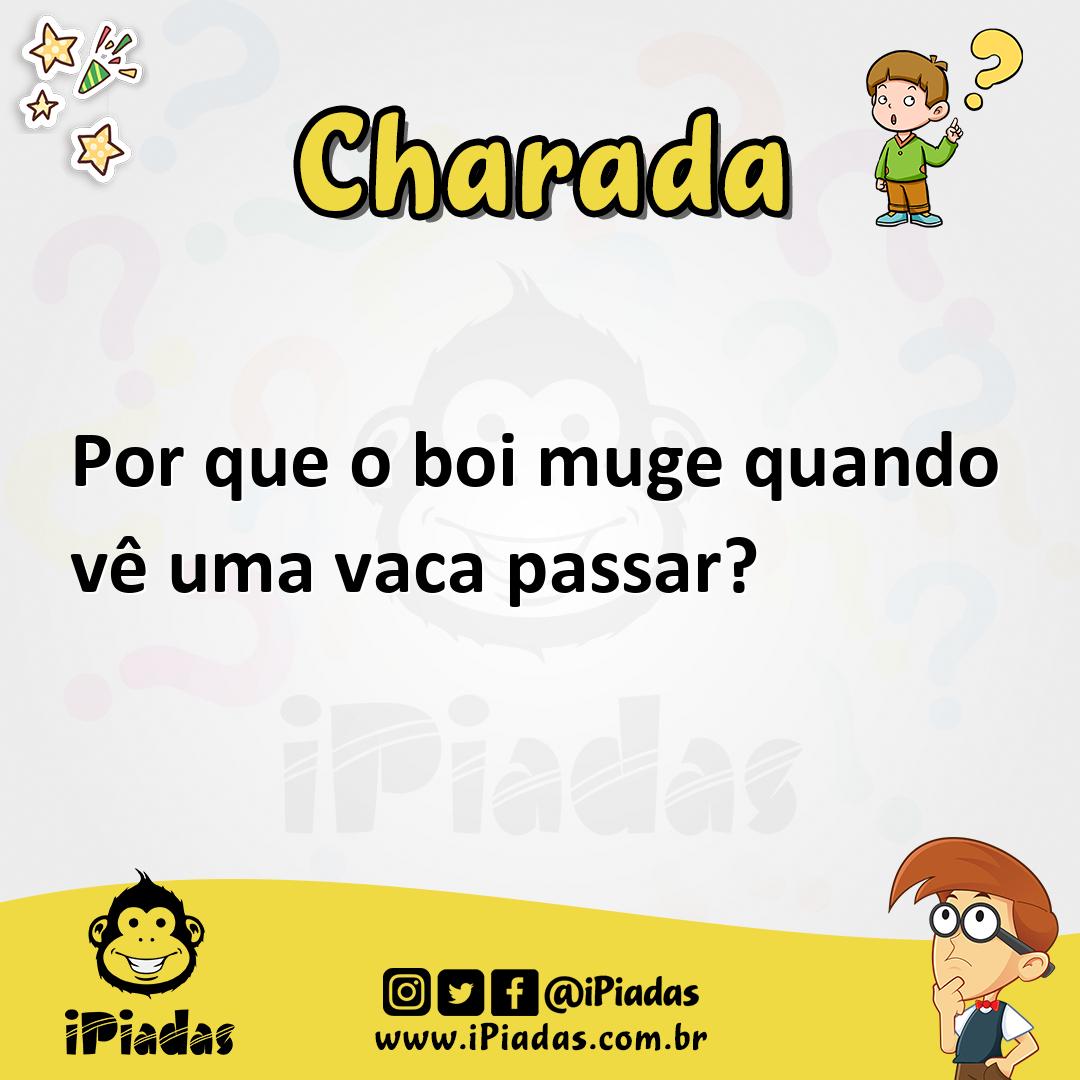 Por que o boi muge quando vê uma vaca passar?