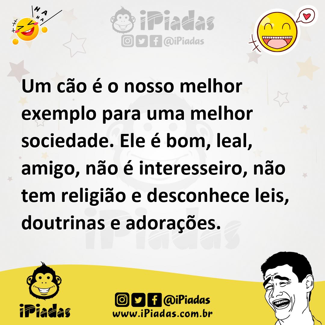 Ilustração de Um cão é o nosso melhor exemplo para uma melhor sociedade. Ele é bom,... no iPiadas