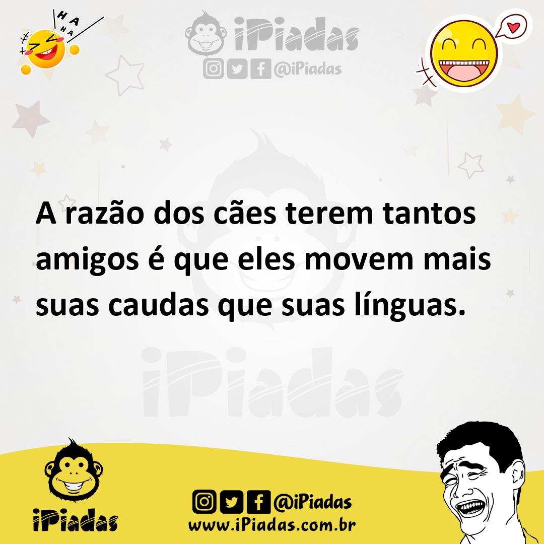 Ilustração de A razão dos cães terem tantos amigos é que eles movem mais suas caudas... no iPiadas