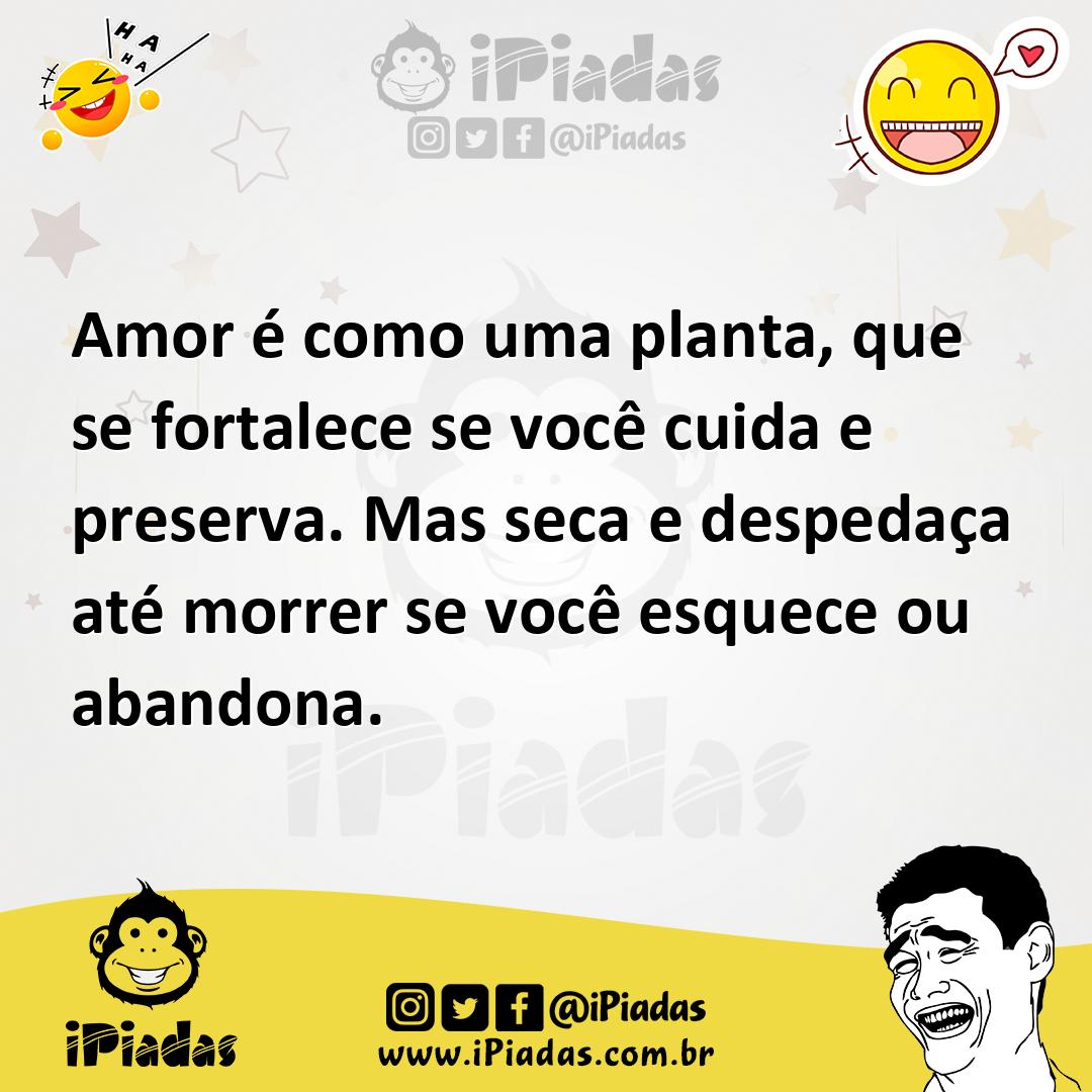 Ilustração de Amor é como uma planta, que se fortalece se você cuida e preserva. Mas... no iPiadas