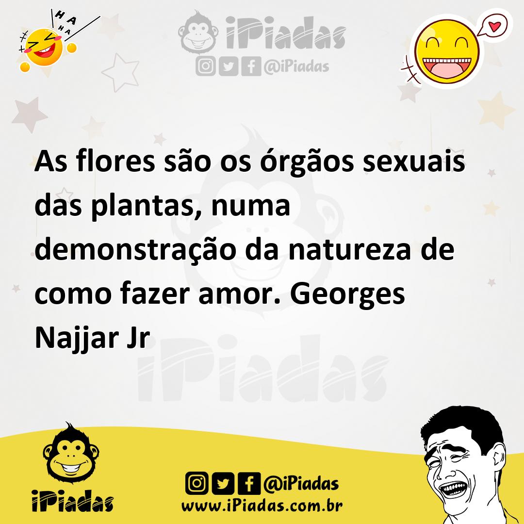 Ilustração de As flores são os órgãos sexuais das plantas, numa demonstração da natu... no iPiadas