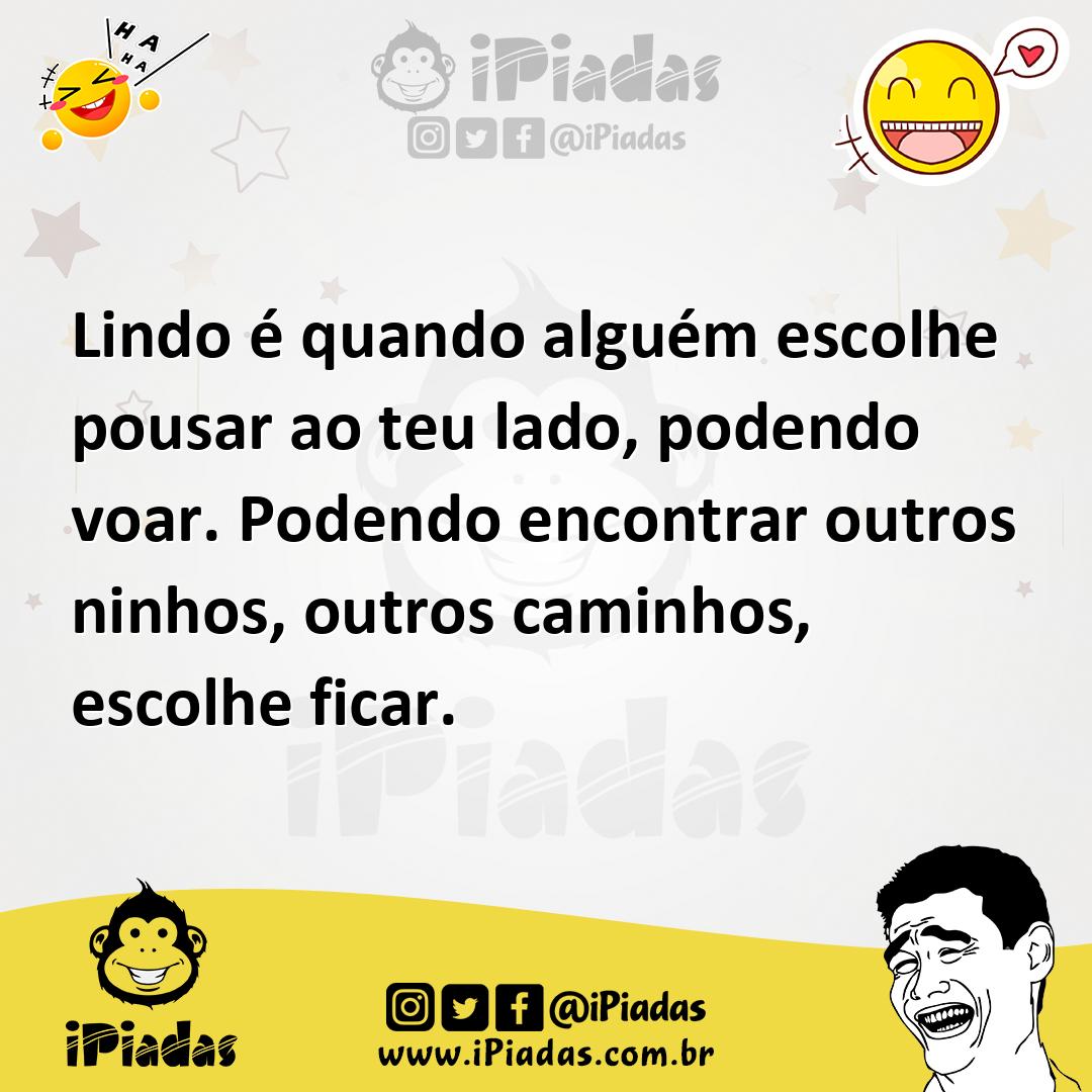 Ilustração de Lindo é quando alguém escolhe pousar ao teu lado, podendo voar. Podend... no iPiadas