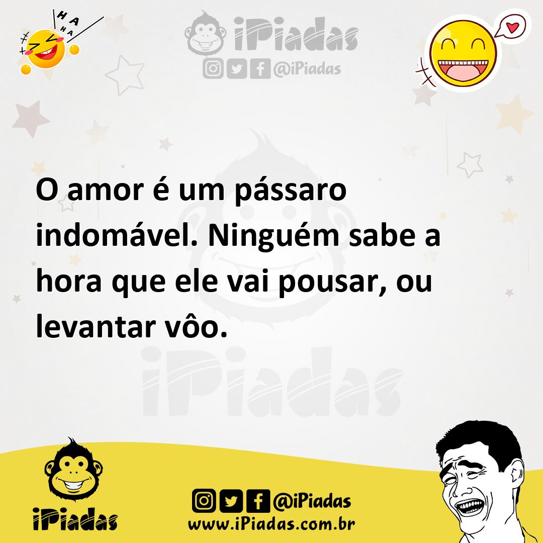 Ilustração de O amor é um pássaro indomável. Ninguém sabe a hora que ele vai pousar,... no iPiadas