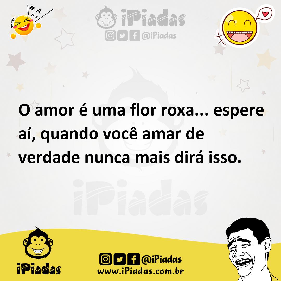 Ilustração de O amor é uma flor roxa... espere aí, quando você amar de verdade nunca... no iPiadas