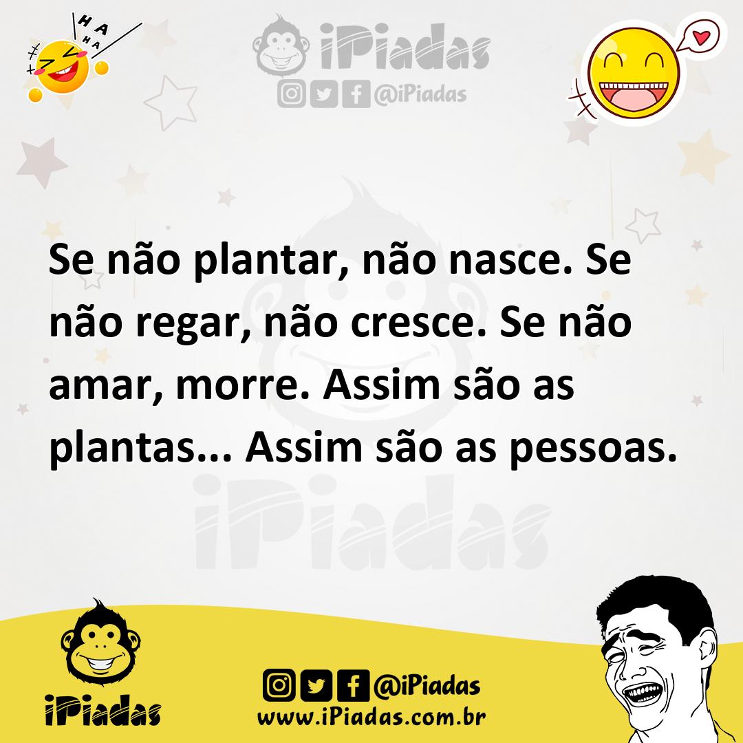 Ilustração de Se não plantar, não nasce. Se não regar, não cresce. Se não amar, morr... no iPiadas