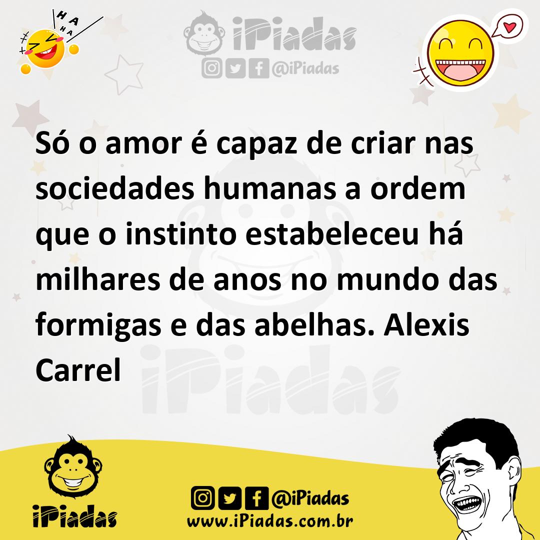 Ilustração de Só o amor é capaz de criar nas sociedades humanas a ordem que o instin... no iPiadas