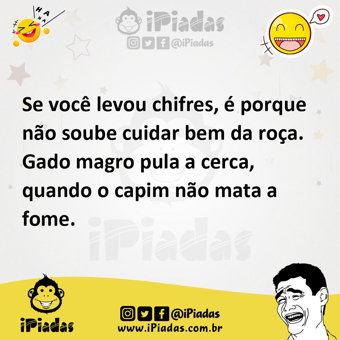 Ilustração de Se você levou chifres, é porque não soube cuidar bem da roça. Gado mag... no iPiadas