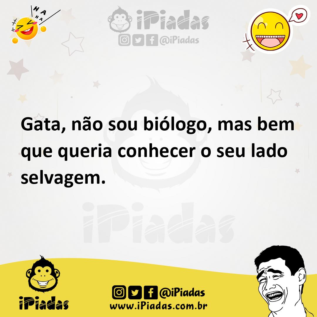 Ilustração de Gata, não sou biólogo, mas bem que queria conhecer o seu lado selvagem... no iPiadas