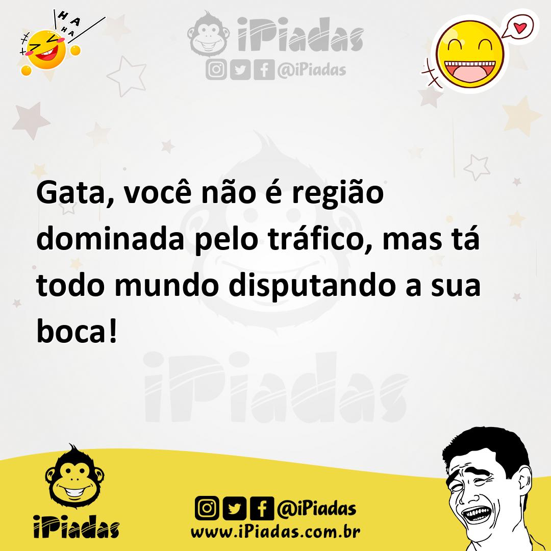 Ilustração de Gata, você não é região dominada pelo tráfico, mas tá todo mundo dispu... no iPiadas