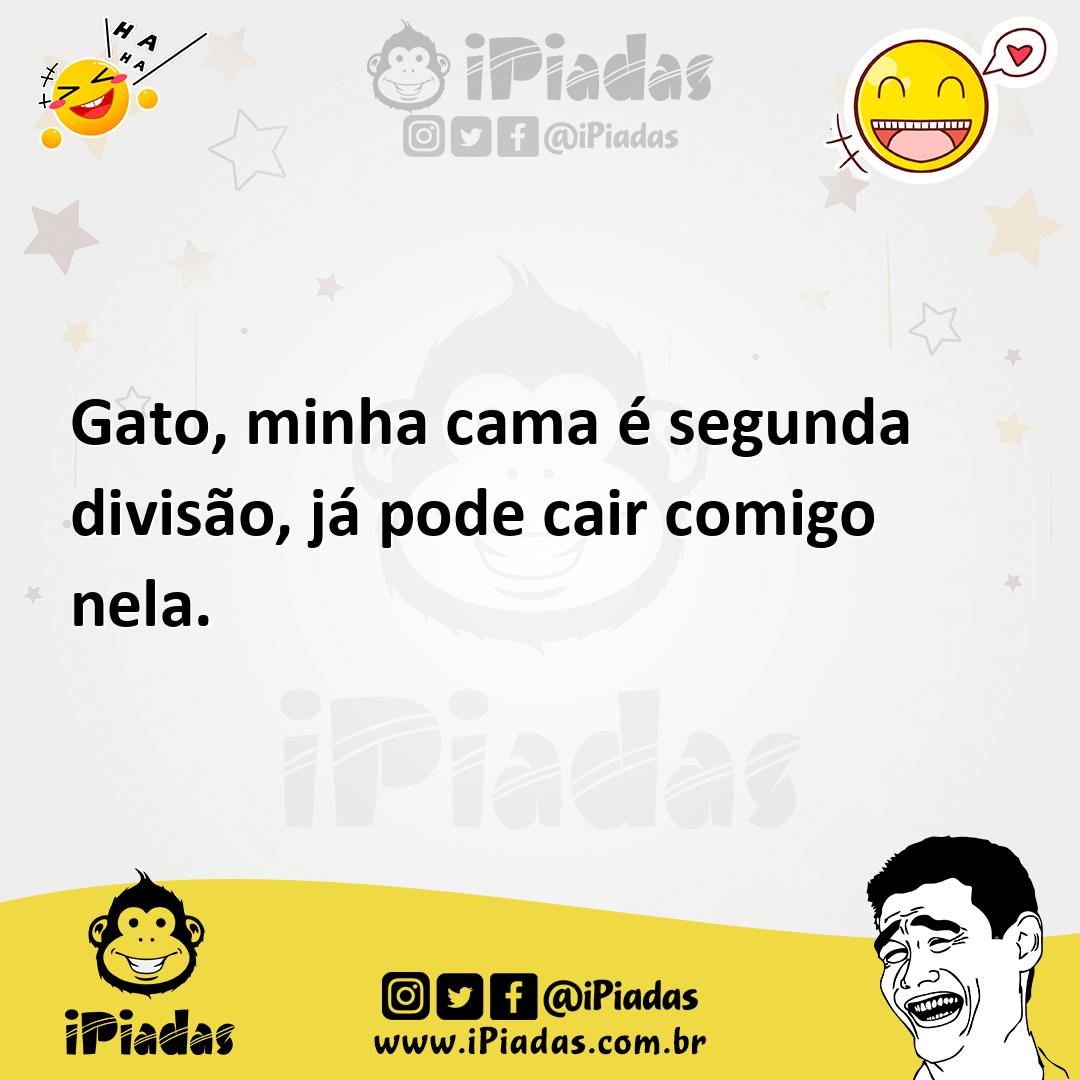 Ilustração de Gato, minha cama é segunda divisão, já pode cair comigo nela. no iPiadas