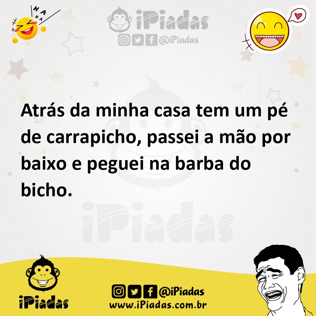 Ilustração de Atrás da minha casa tem um pé de carrapicho, passei a mão por baixo e... no iPiadas