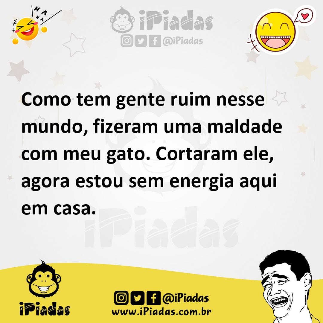 Ilustração de Como tem gente ruim nesse mundo, fizeram uma maldade com meu gato. Cor... no iPiadas