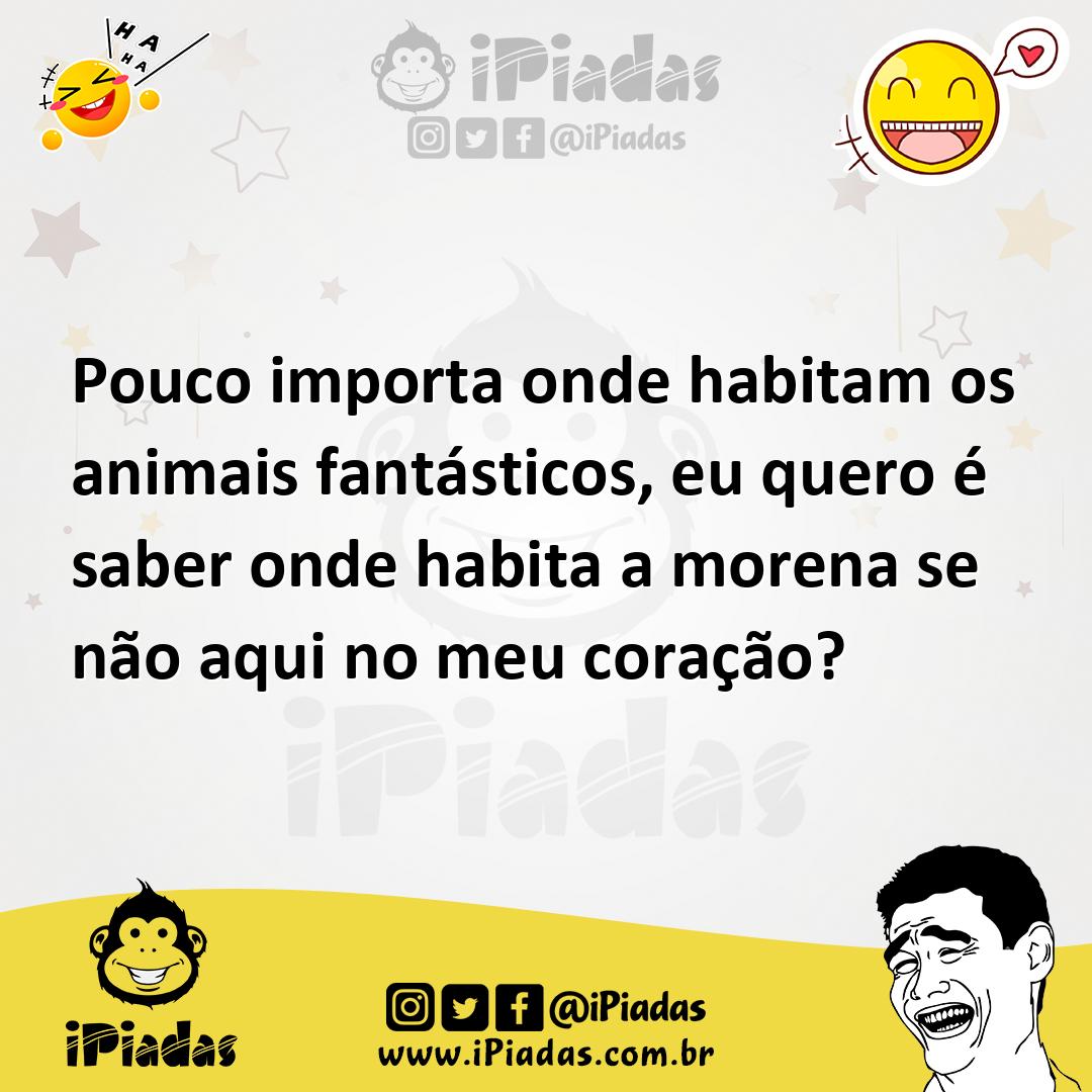 Ilustração de Pouco importa onde habitam os animais fantásticos, eu quero é saber on... no iPiadas
