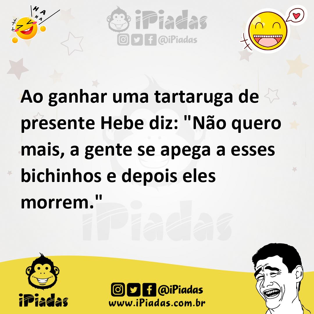 Ilustração de Ao ganhar uma tartaruga de presente Hebe diz: "Não quero mais, a gente... no iPiadas