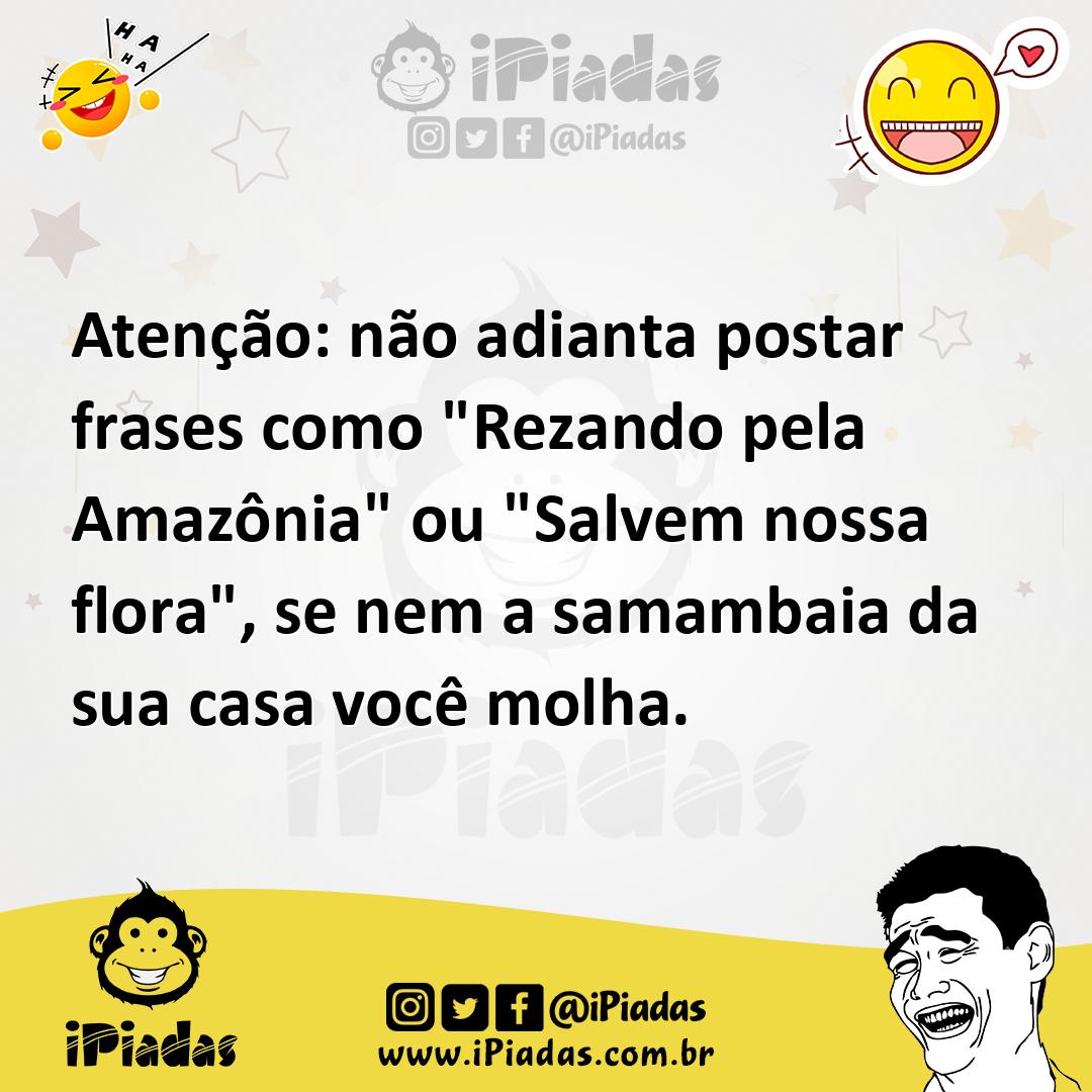 Ilustração de Atenção: não adianta postar frases como "Rezando pela Amazônia" ou "Sa... no iPiadas