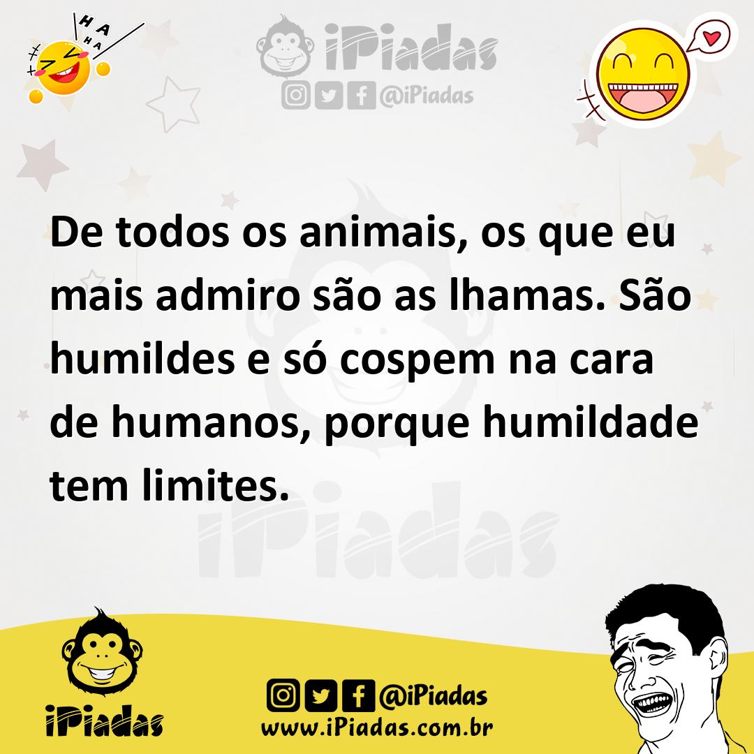Ilustração de De todos os animais, os que eu mais admiro são as lhamas. São humildes... no iPiadas