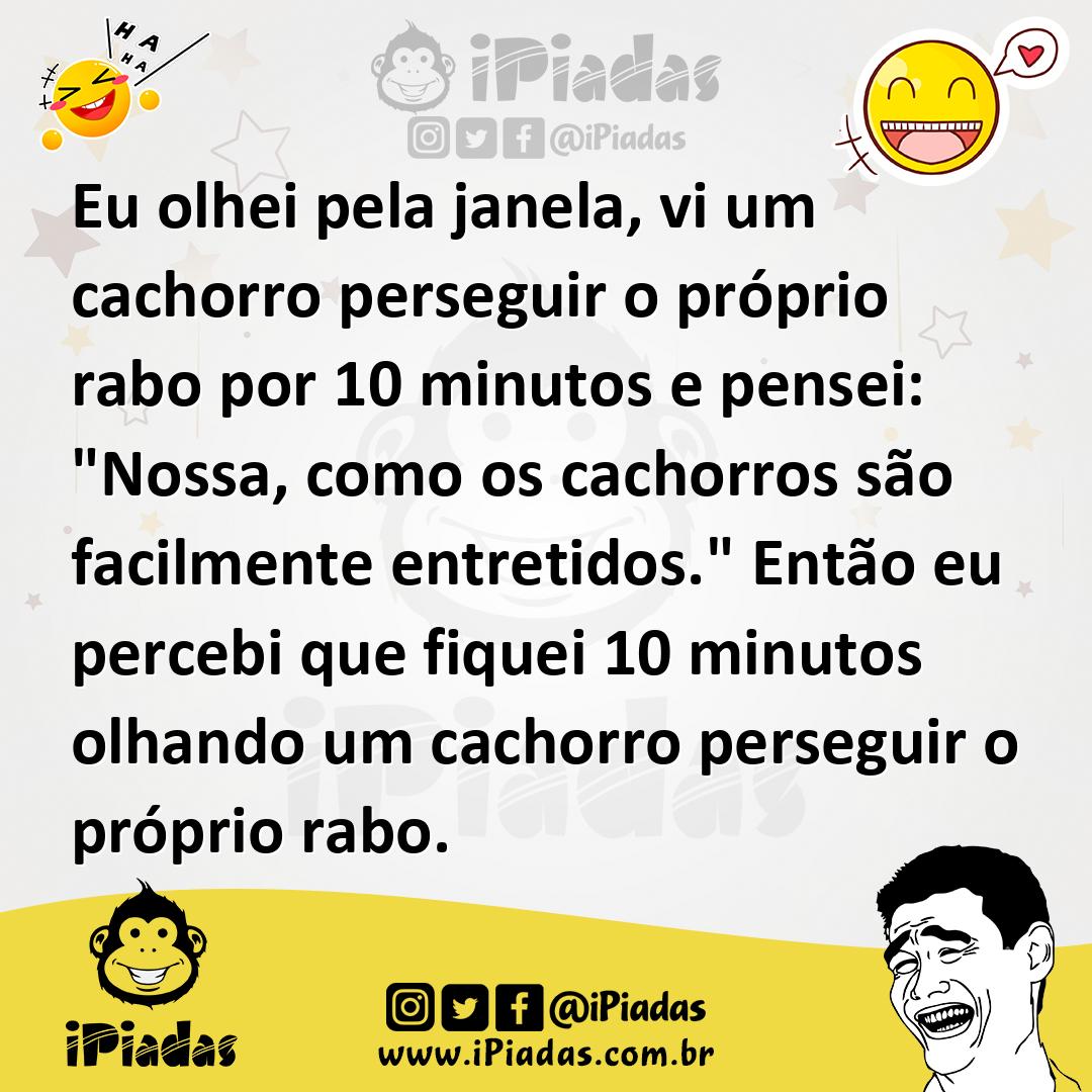 Ilustração de Eu olhei pela janela, vi um cachorro perseguir o próprio rabo por 10 m... no iPiadas