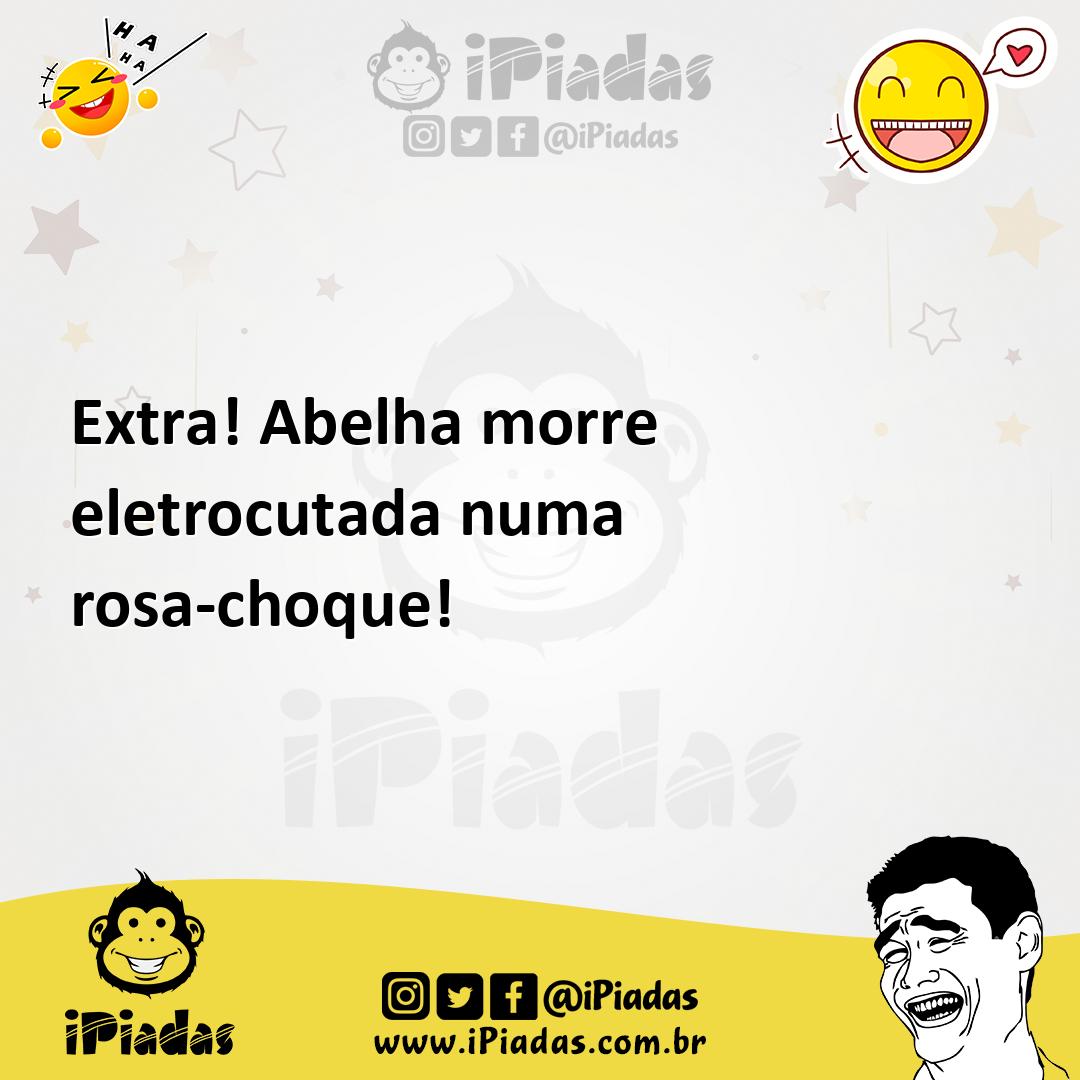 Ilustração de Extra! Abelha morre eletrocutada numa rosa-choque! no iPiadas