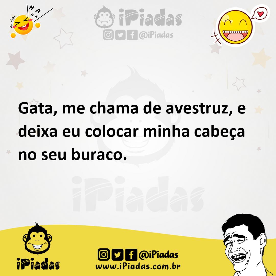 Ilustração de Gata, me chama de avestruz, e deixa eu colocar minha cabeça no seu bur... no iPiadas