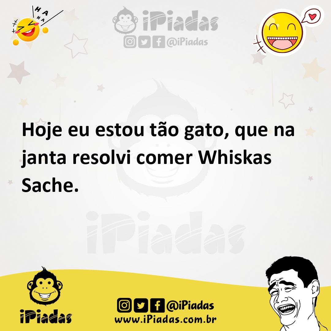 Ilustração de Hoje eu estou tão gato, que na janta resolvi comer Whiskas Sache. no iPiadas