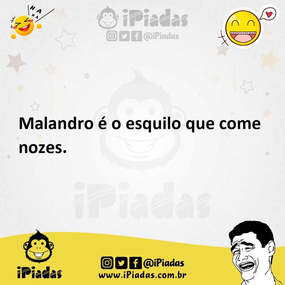 Ilustração de Malandro é o esquilo que come nozes. no iPiadas