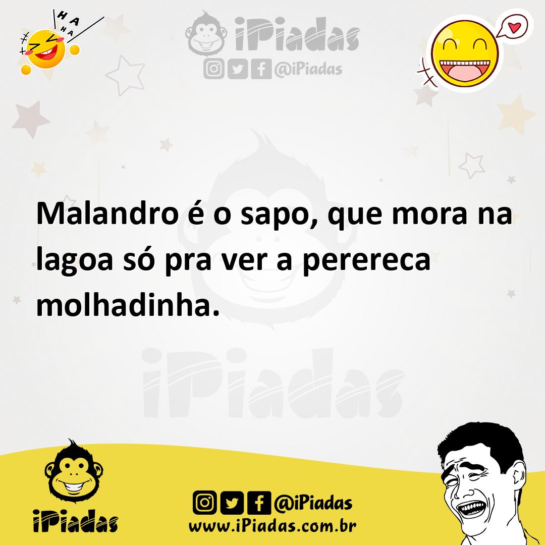 Ilustração de Malandro é o sapo, que mora na lagoa só pra ver a perereca molhadinha. no iPiadas