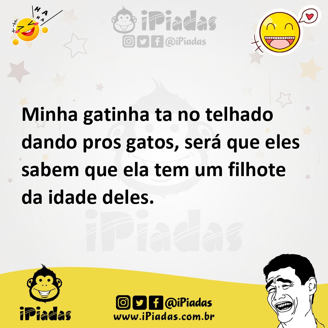 Ilustração de Minha gatinha ta no telhado dando pros gatos, será que eles sabem que... no iPiadas