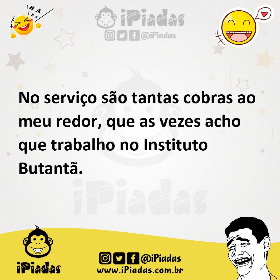 Ilustração de No serviço são tantas cobras ao meu redor, que as vezes acho que traba... no iPiadas