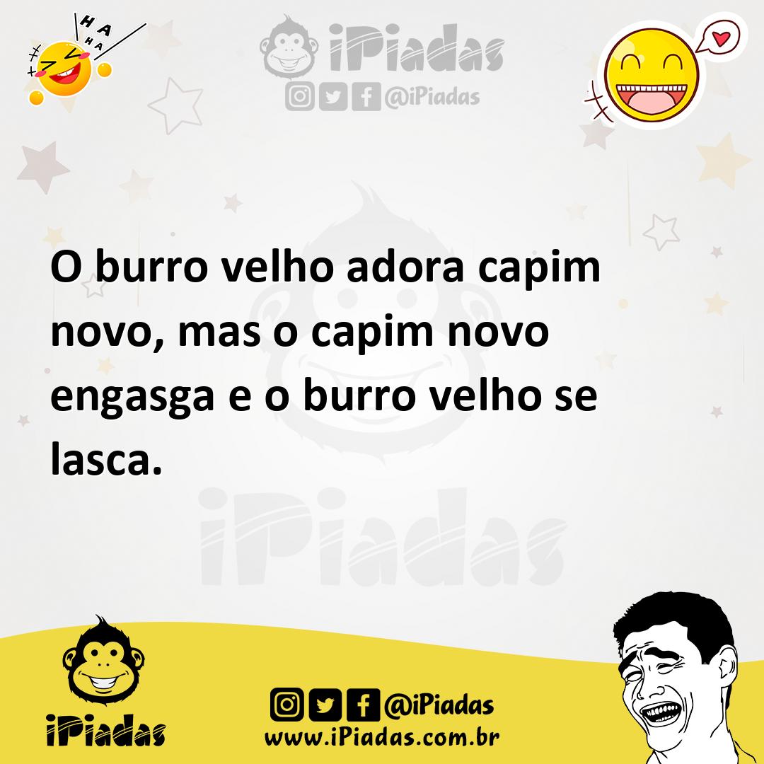 Ilustração de O burro velho adora capim novo, mas o capim novo engasga e o burro vel... no iPiadas