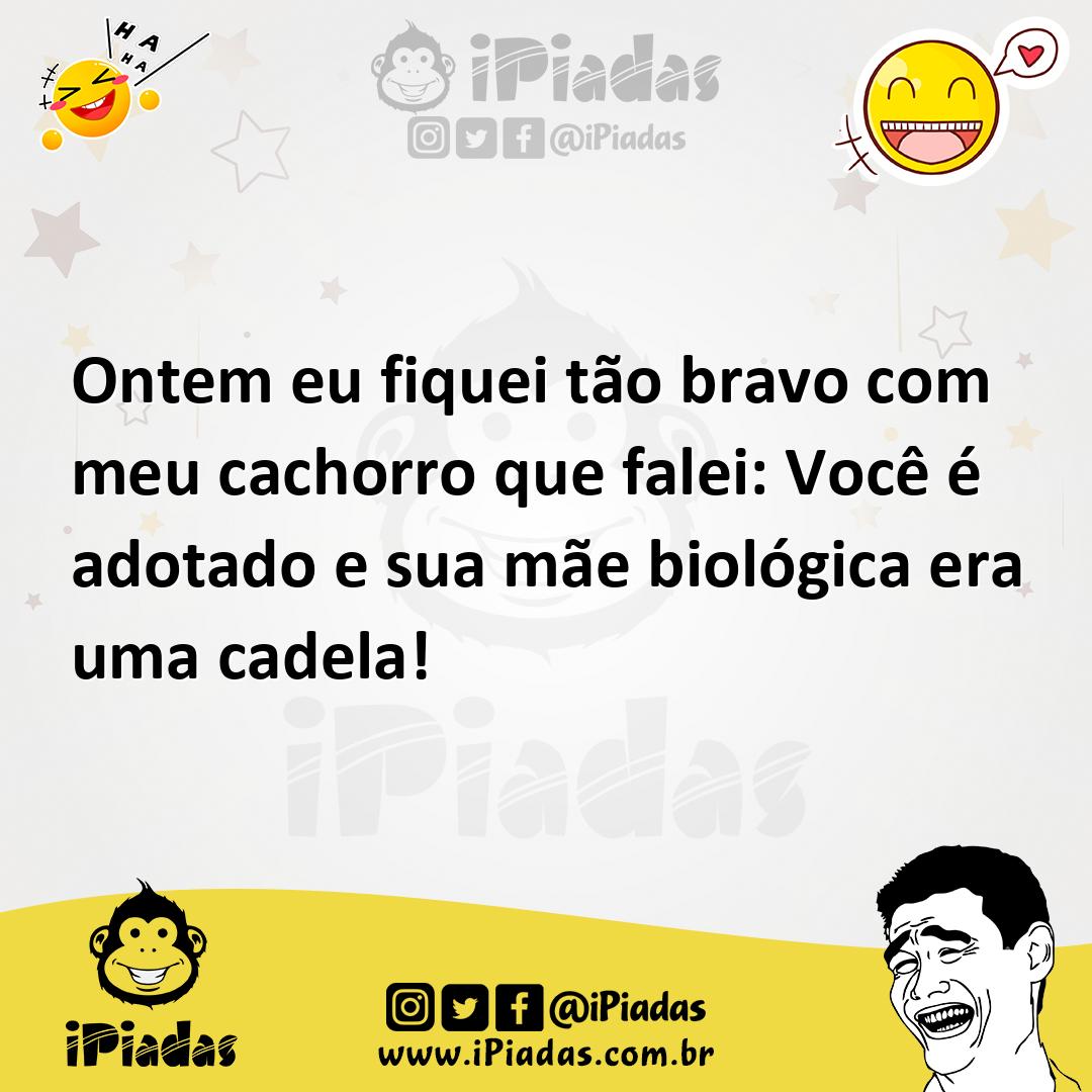Ilustração de Ontem eu fiquei tão bravo com meu cachorro que falei: Você é adotado e... no iPiadas