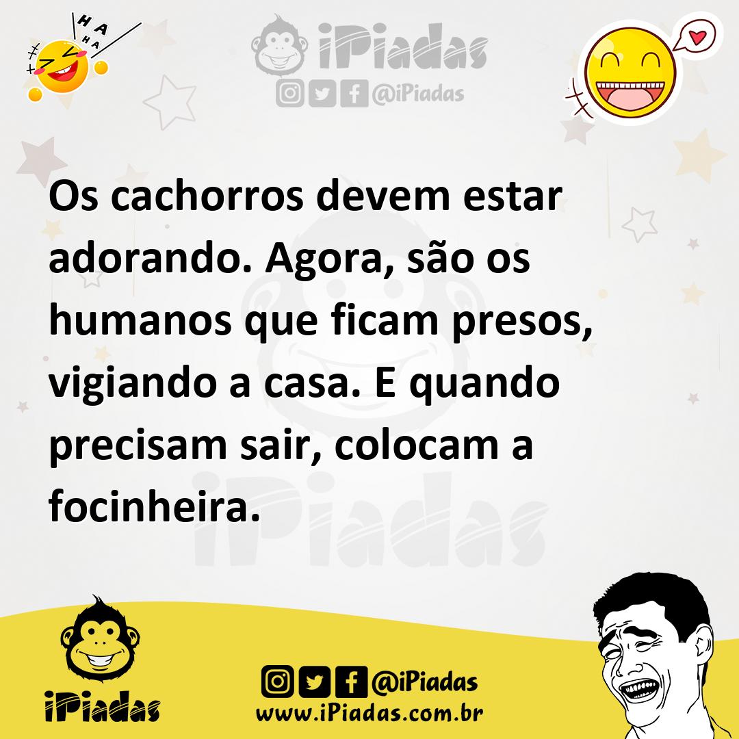 Ilustração de Os cachorros devem estar adorando. Agora, são os humanos que ficam pre... no iPiadas