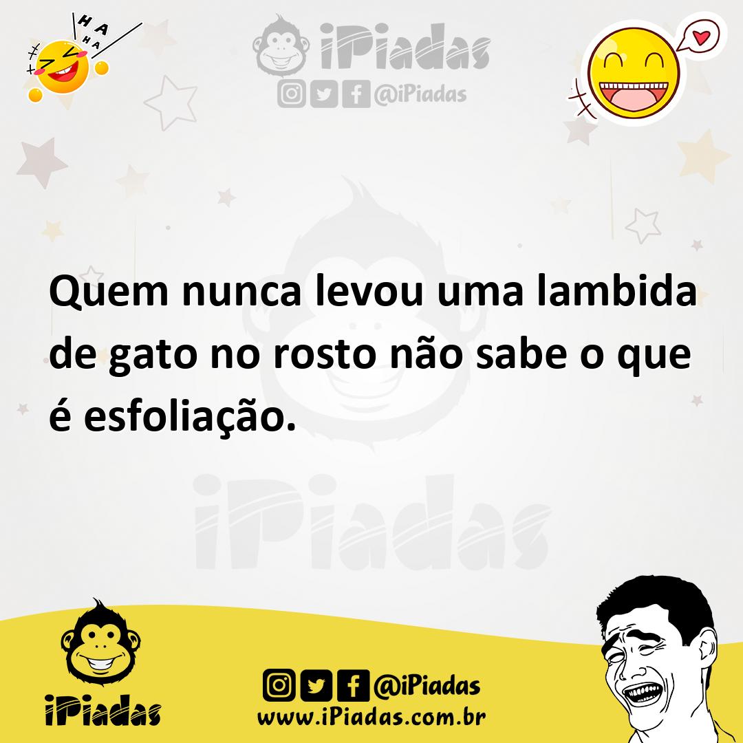 Ilustração de Quem nunca levou uma lambida de gato no rosto não sabe o que é esfolia... no iPiadas