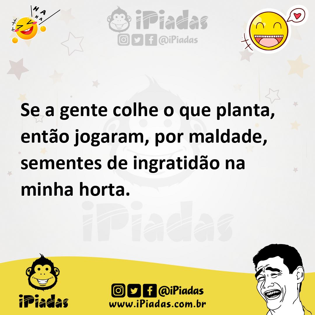 Ilustração de Se a gente colhe o que planta, então jogaram, por maldade, sementes de... no iPiadas