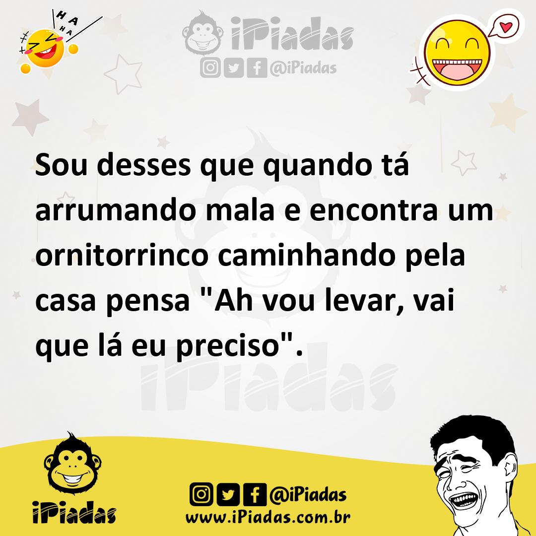 Ilustração de Sou desses que quando tá arrumando mala e encontra um ornitorrinco cam... no iPiadas