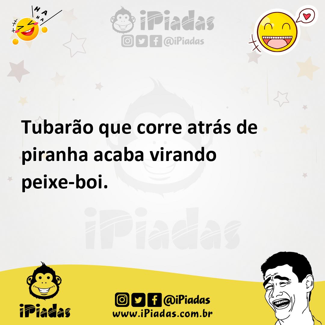 Ilustração de Tubarão que corre atrás de piranha acaba virando peixe-boi. no iPiadas