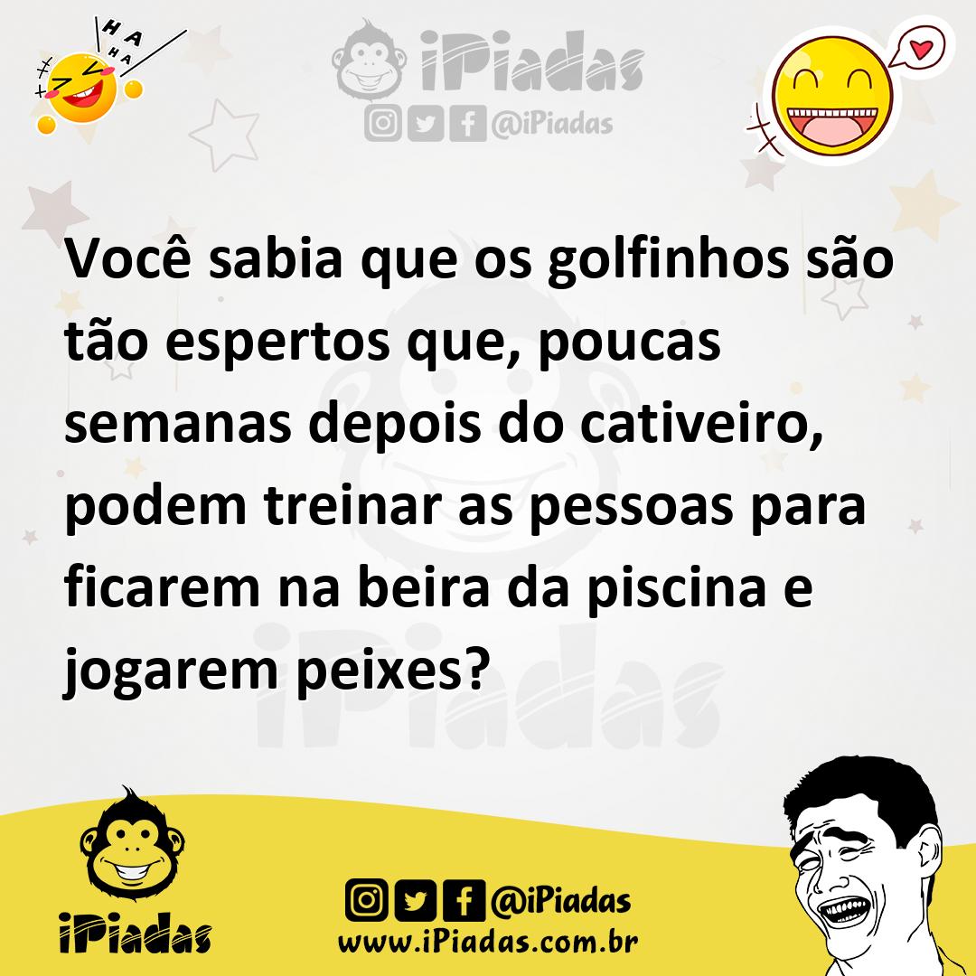 Ilustração de Você sabia que os golfinhos são tão espertos que, poucas semanas depoi... no iPiadas