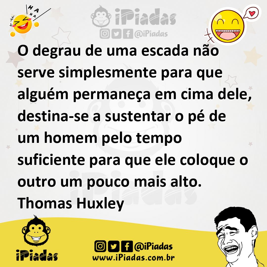 Ilustração de O degrau de uma escada não serve simplesmente para que alguém permaneç... no iPiadas