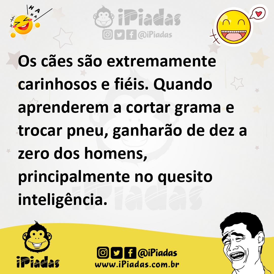 Ilustração de Os cães são extremamente carinhosos e fiéis. Quando aprenderem a corta... no iPiadas