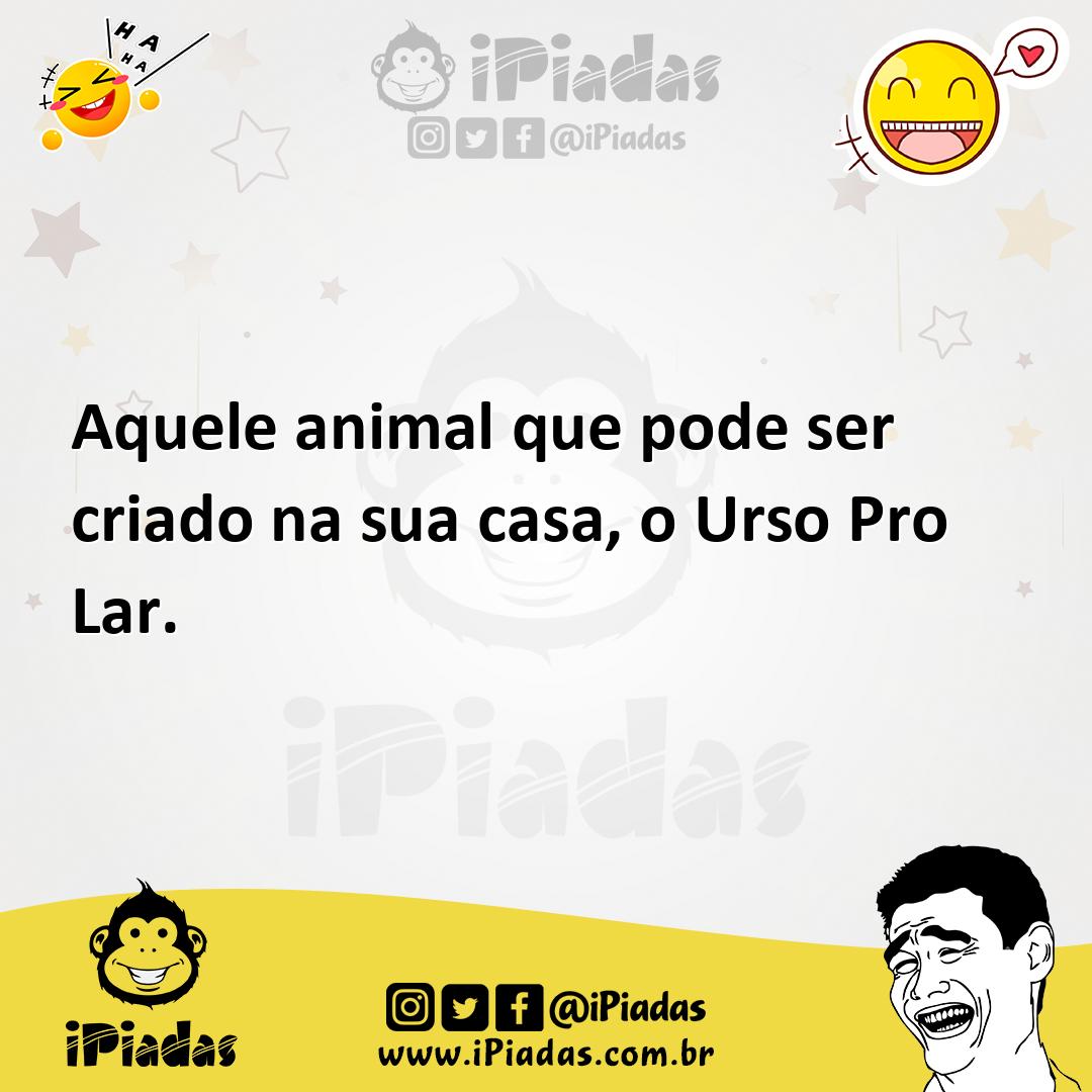 Ilustração de Aquele animal que pode ser criado na sua casa, o Urso Pro Lar. no iPiadas