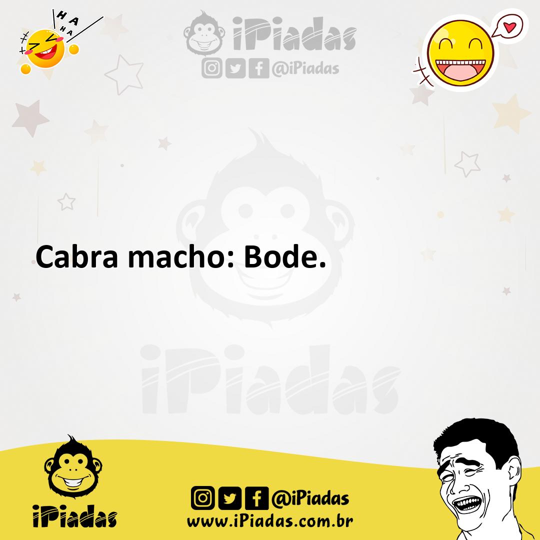 Ilustração de Cabra macho: Bode. no iPiadas