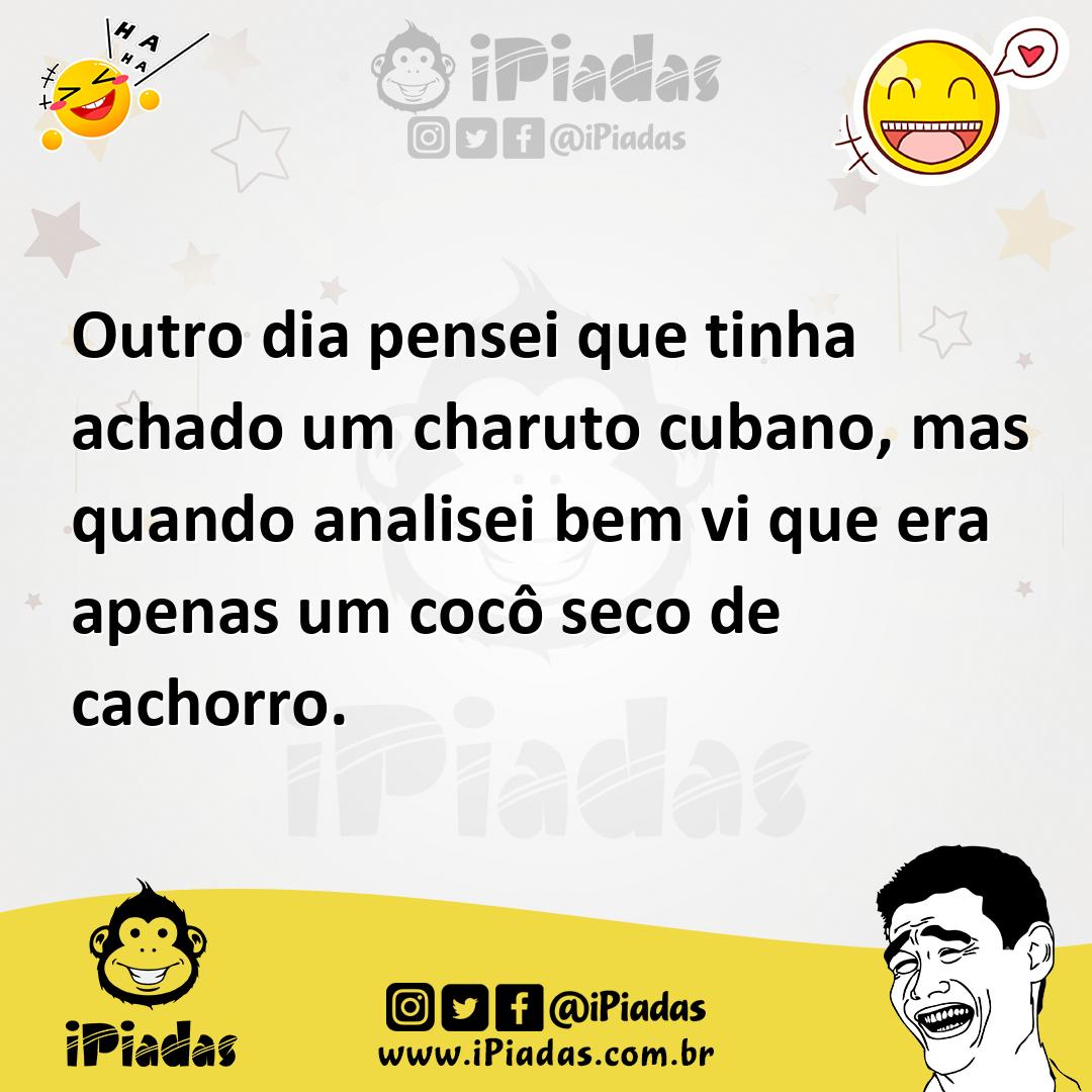 Ilustração de Outro dia pensei que tinha achado um charuto cubano, mas quando analis... no iPiadas
