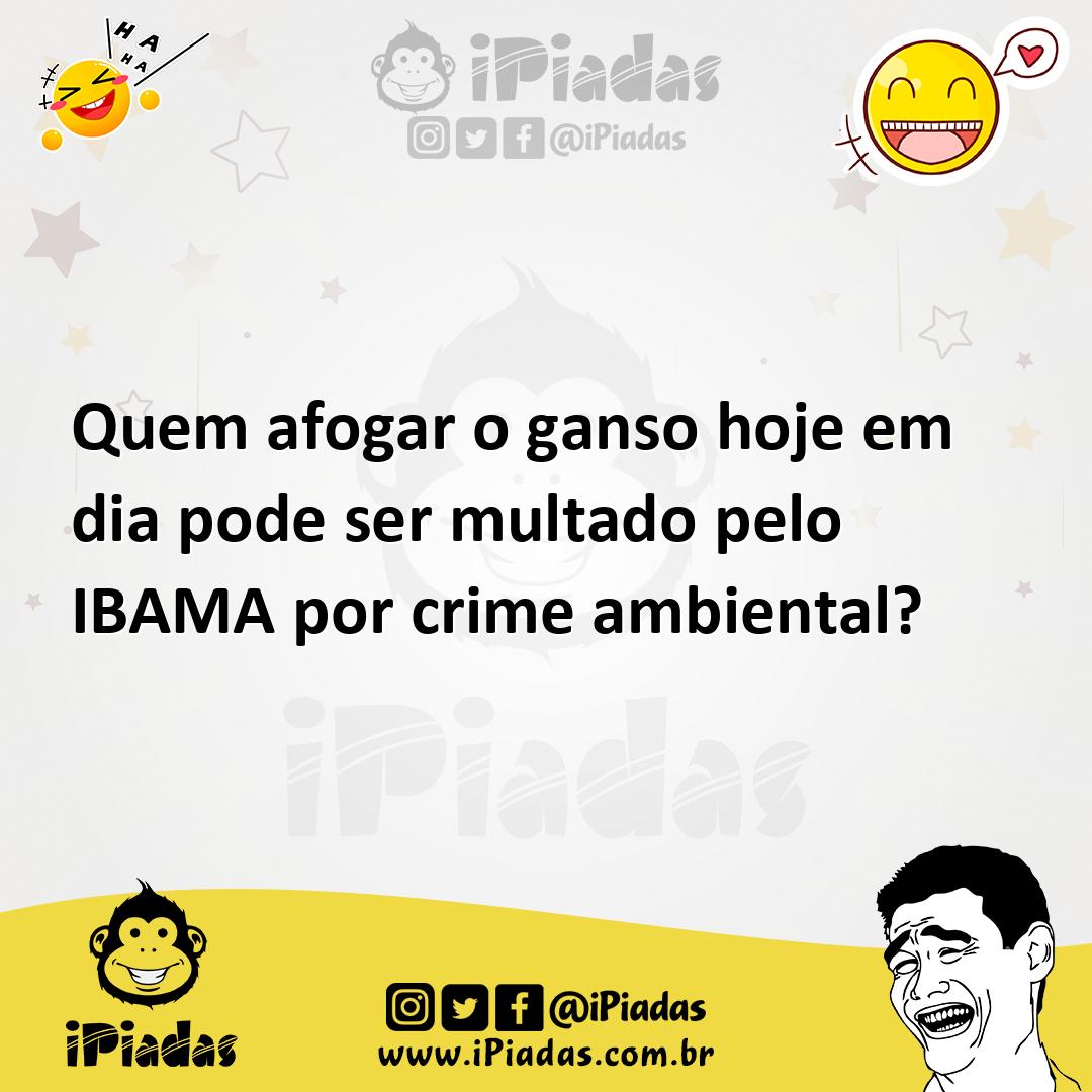 Ilustração de Quem afogar o ganso hoje em dia pode ser multado pelo IBAMA por crime... no iPiadas